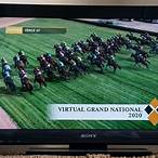 can you bet on virtual grand national